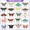 20 Pcs Butterfly Diamond Painting Keychains Kits Diamond Art Keychain 5d Butterfly Diamond Key Chain Spring Summer Diamond Hanging Ornaments Key Ring for Adults Beginners DIY Crafts Decor